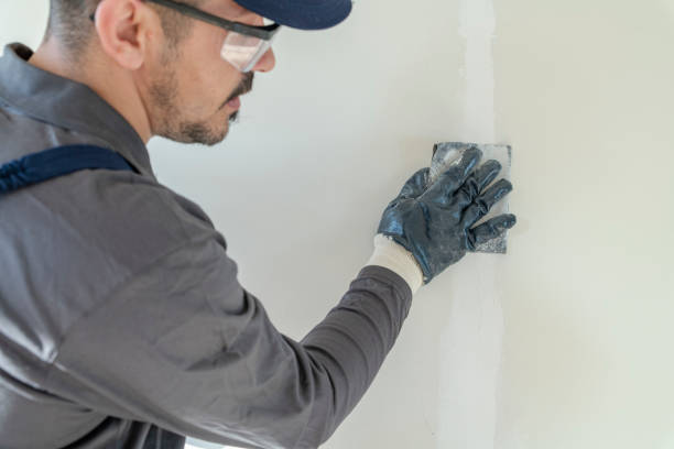 Best Mold Damage Restoration  in Norwich, NY