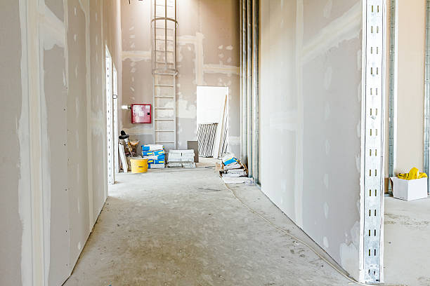 Best Air Quality Testing for Mold Spores  in Norwich, NY